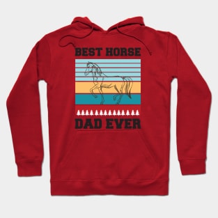 Best Horse Dad Ever Hoodie